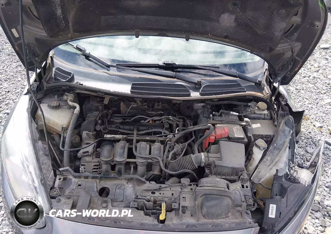 2014 Ford Fiesta Se VIN:3FADP4EJ2EM199908 - 10
