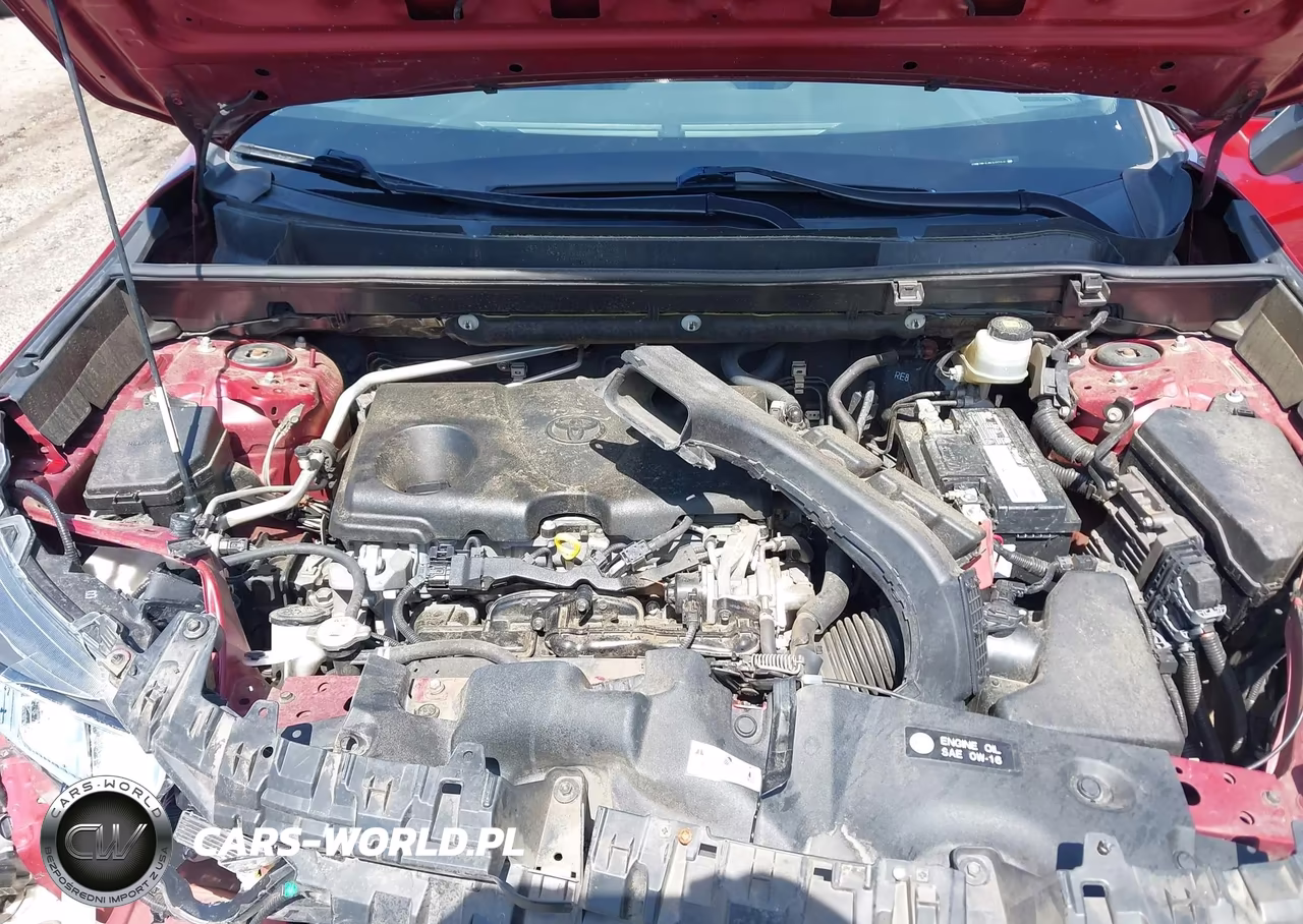 2019 Toyota Rav4 Xle VIN:JTMW1RFV2KD033107 - 10