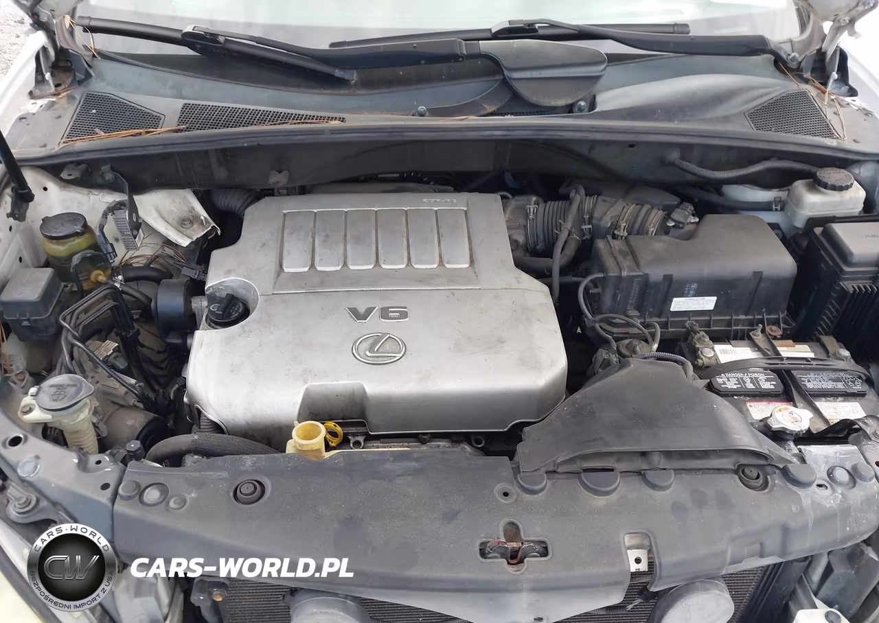 2007 Lexus Rx 350 VIN:2T2HK31U07C041188 - 10
