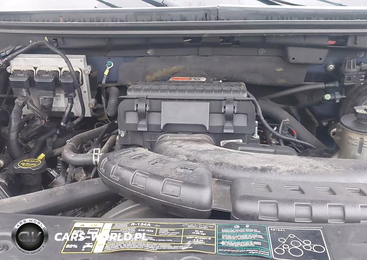 2004 Ford F-150 Fx4-Lariat-Xl-Xlt VIN:1FTPX14504NC55312 - 10