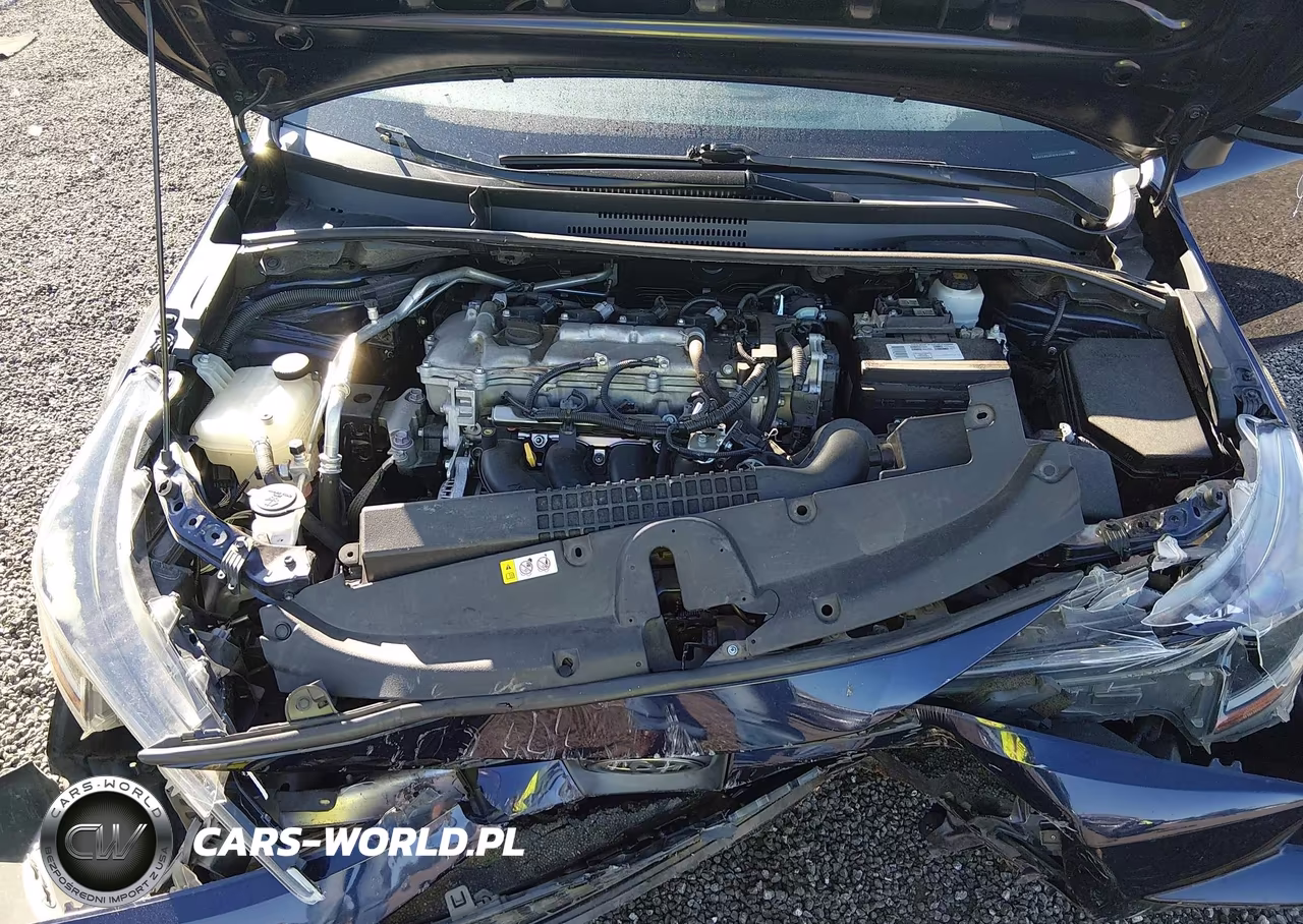 2020 Toyota Corolla Le VIN:5YFEPRAEXLP110581 - 10