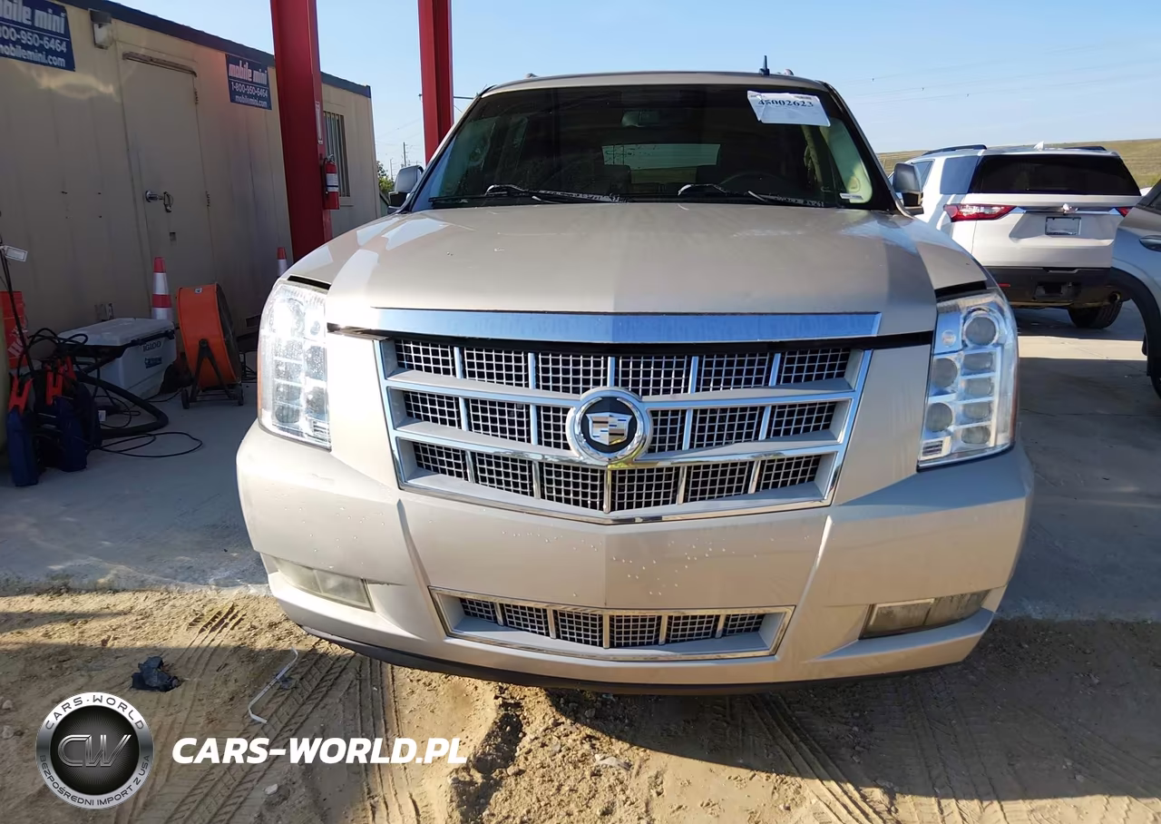 2011 Cadillac Escalade Esv Platinum Edition VIN:1GYS4KEF5BR187279 - 12