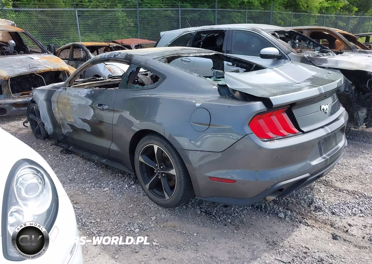 2021 Ford Mustang Ecoboost Fastback VIN:1FA6P8TH4M5141500 - 3