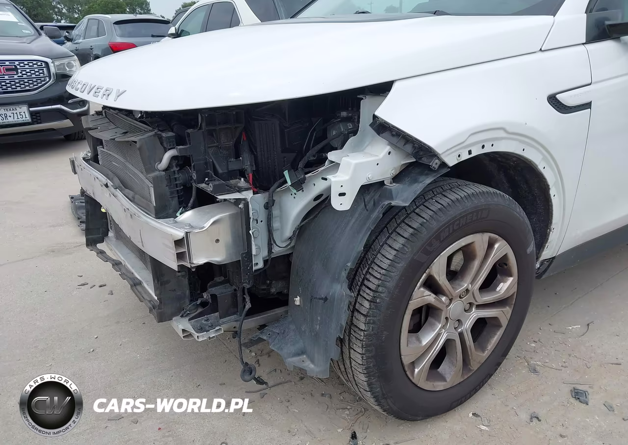 2020 Land Rover Discovery Sport S VIN:SALCJ2FX0LH846850 - 19