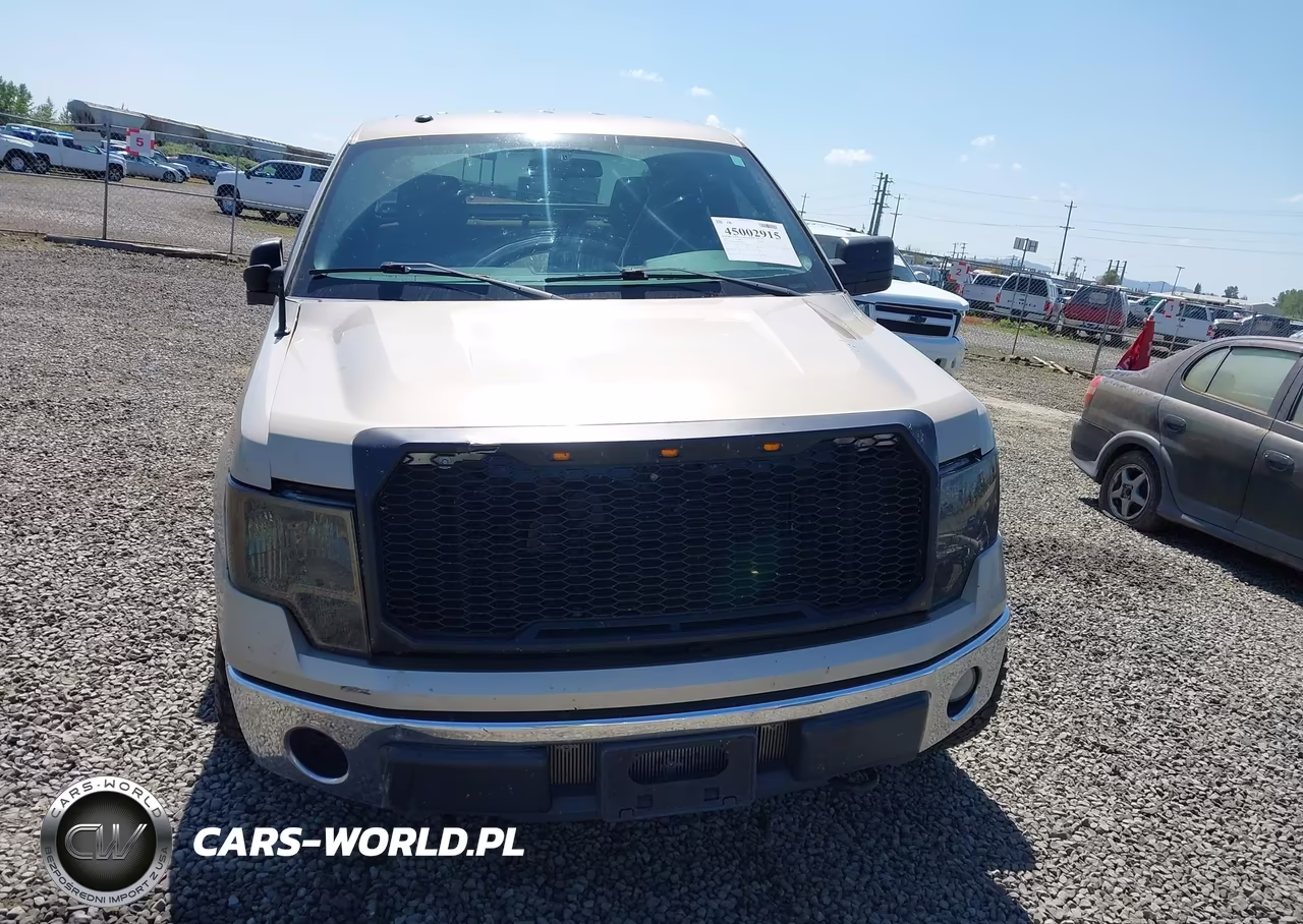 2010 Ford F-150 Fx4-Lariat-Xl-Xlt VIN:1FTFX1EV8AFB32440 - 12
