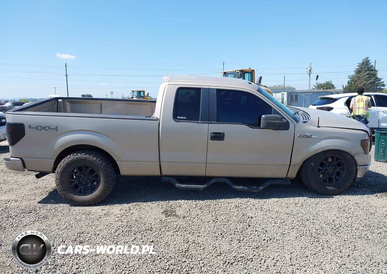 2010 Ford F-150 Fx4-Lariat-Xl-Xlt VIN:1FTFX1EV8AFB32440 - 13