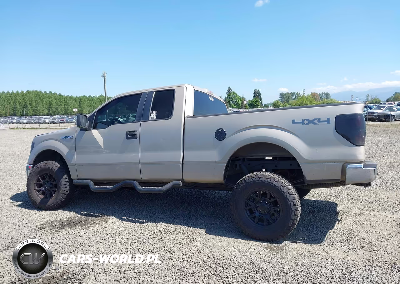 2010 Ford F-150 Fx4-Lariat-Xl-Xlt VIN:1FTFX1EV8AFB32440 - 14