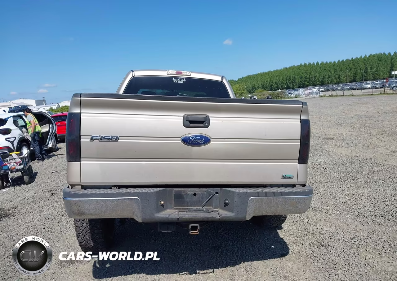2010 Ford F-150 Fx4-Lariat-Xl-Xlt VIN:1FTFX1EV8AFB32440 - 16