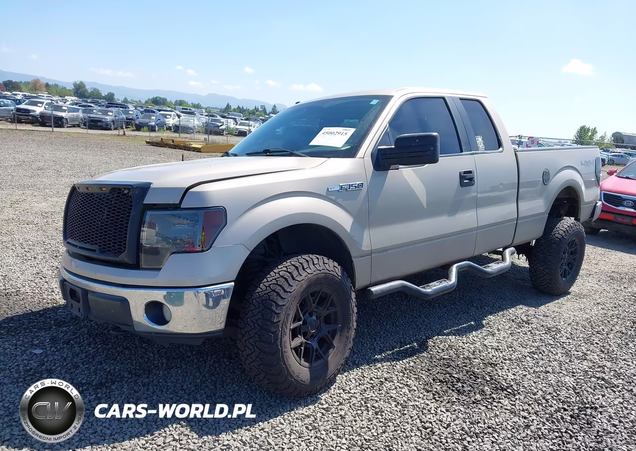 2010 Ford F-150 Fx4-Lariat-Xl-Xlt VIN:1FTFX1EV8AFB32440 - 2