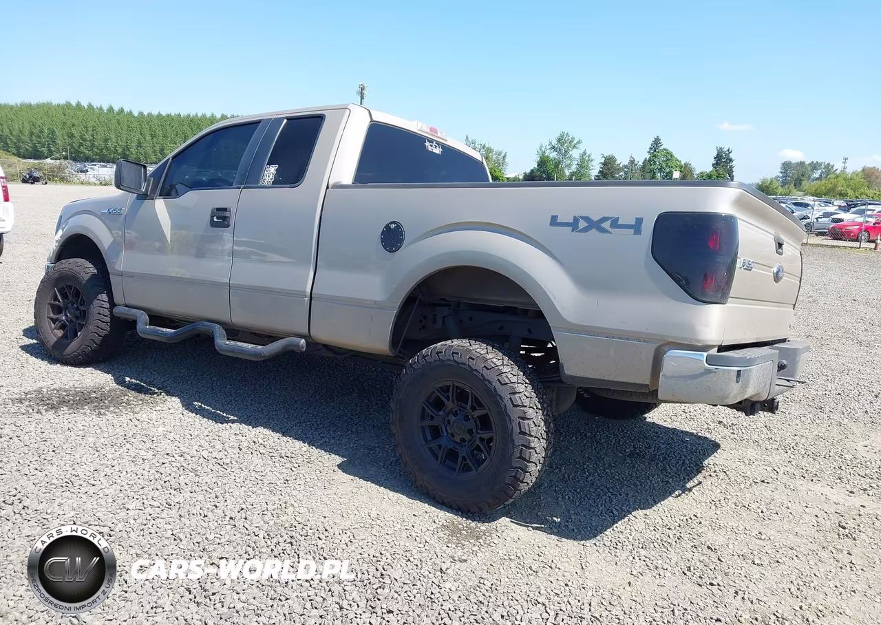 2010 Ford F-150 Fx4-Lariat-Xl-Xlt VIN:1FTFX1EV8AFB32440 - 3