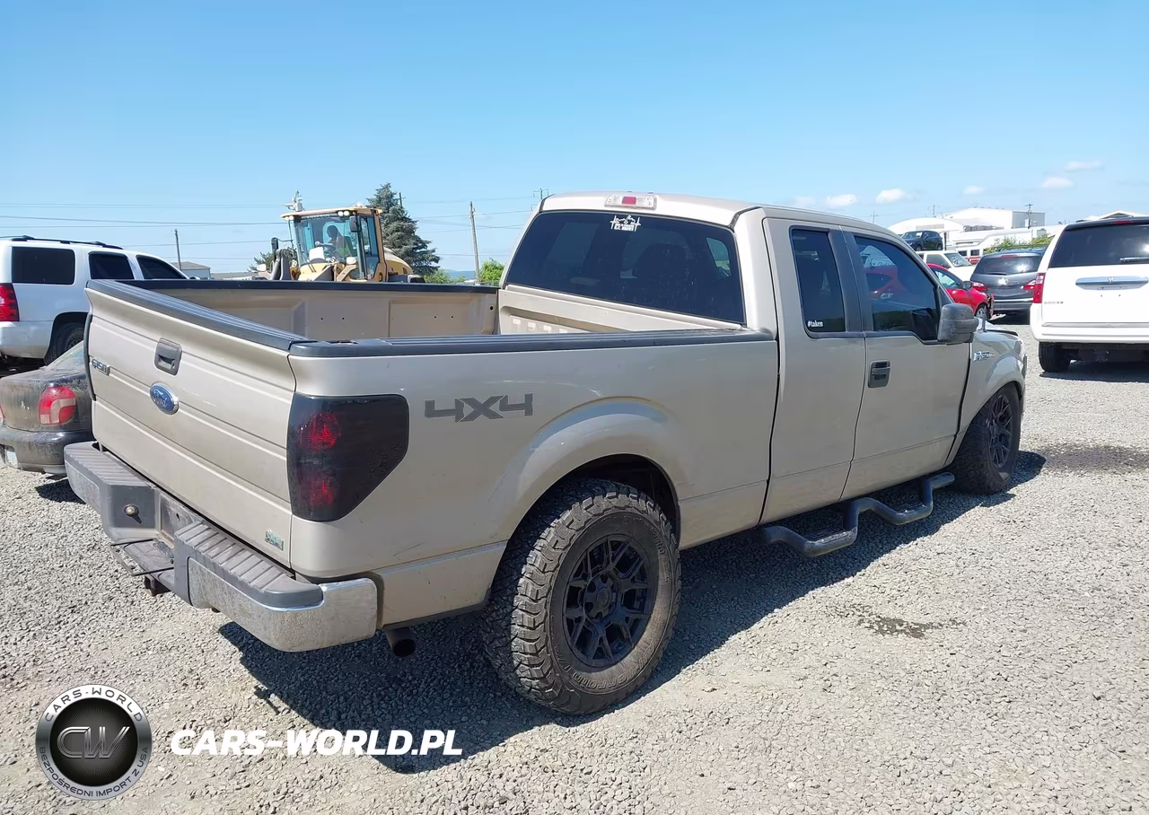 2010 Ford F-150 Fx4-Lariat-Xl-Xlt VIN:1FTFX1EV8AFB32440 - 4