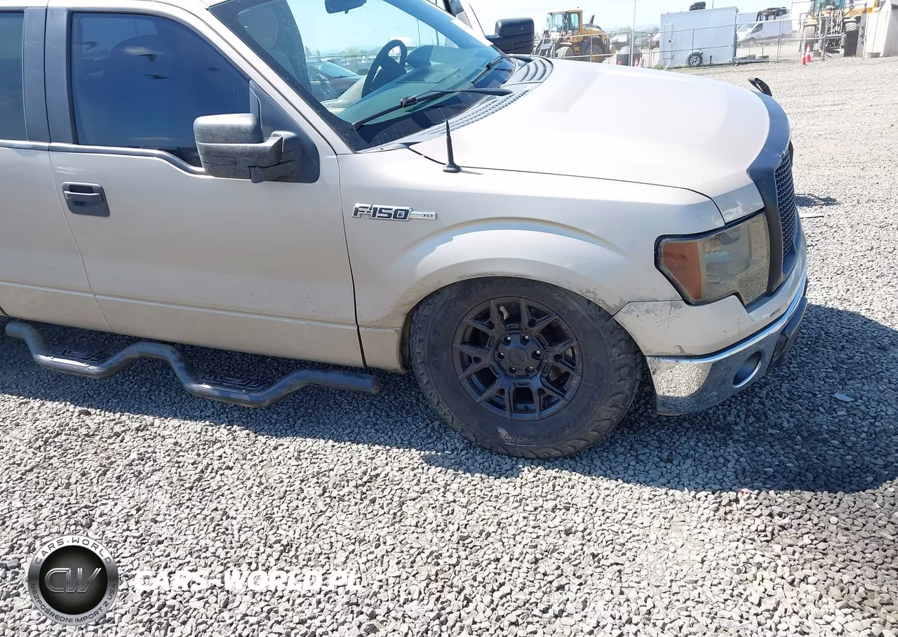 2010 Ford F-150 Fx4-Lariat-Xl-Xlt VIN:1FTFX1EV8AFB32440 - 6