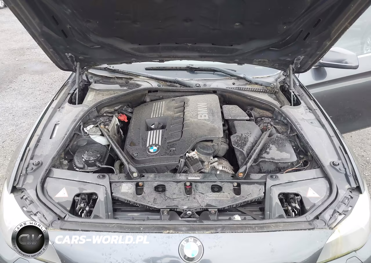 2011 BMW 528I VIN:WBAFR1C59BC746524 - 10