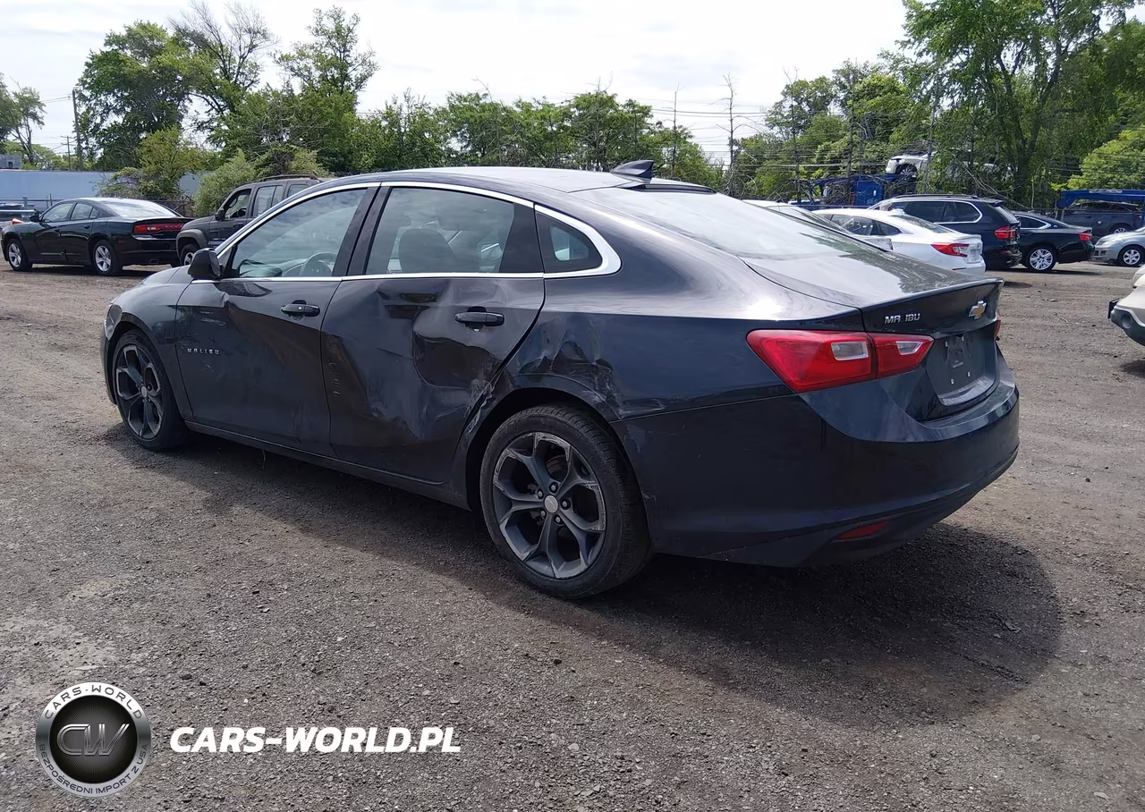 2023 Chevrolet Malibu Fwd 1Lt VIN:1G1ZD5ST4PF222878 - 3