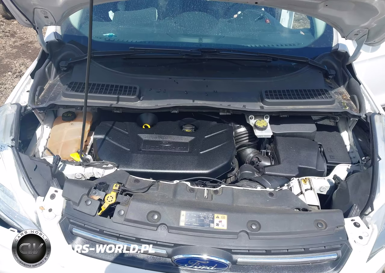 2016 Ford Escape Se VIN:1FMCU9G94GUC38765 - 10