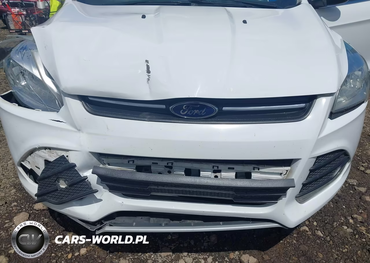 2016 Ford Escape Se VIN:1FMCU9G94GUC38765 - 18