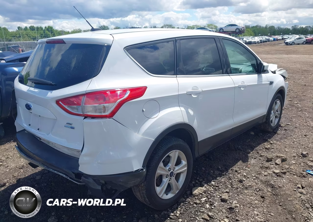 2016 Ford Escape Se VIN:1FMCU9G94GUC38765 - 4