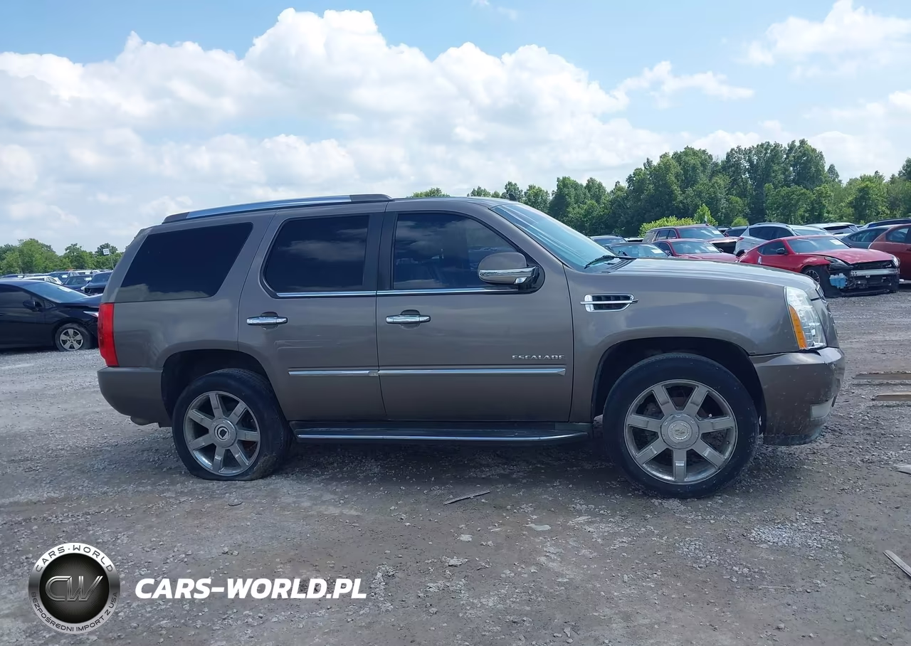 2011 Cadillac Escalade Luxury VIN:1GYS4BEF0BR252331 - 13