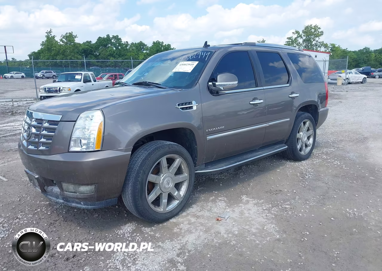 2011 Cadillac Escalade Luxury VIN:1GYS4BEF0BR252331 - 2