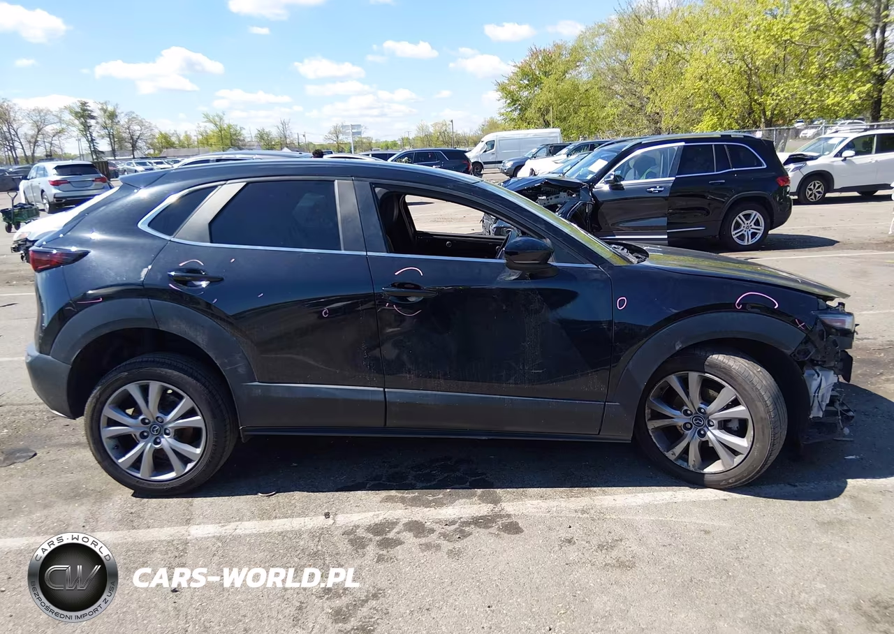 2021 Mazda Cx-30 Preferred VIN:3MVDMBCL5MM313165 - 13