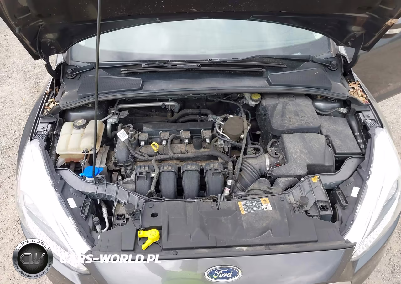 2016 Ford Focus Se VIN:1FADP3F21GL288388 - 10