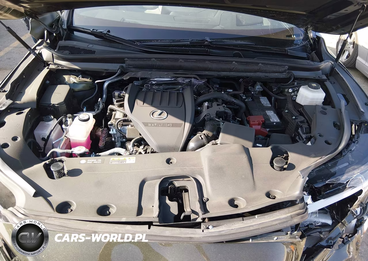 2025 Lexus Rx 350 Premium Plus VIN:2T2BAMBA1SC057184 - 10