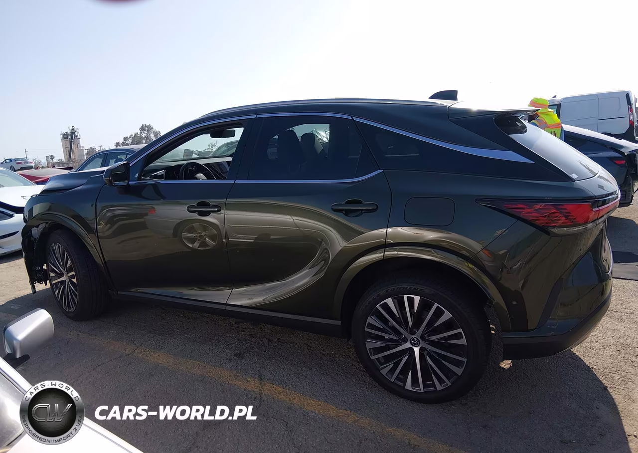 2025 Lexus Rx 350 Premium Plus VIN:2T2BAMBA1SC057184 - 13