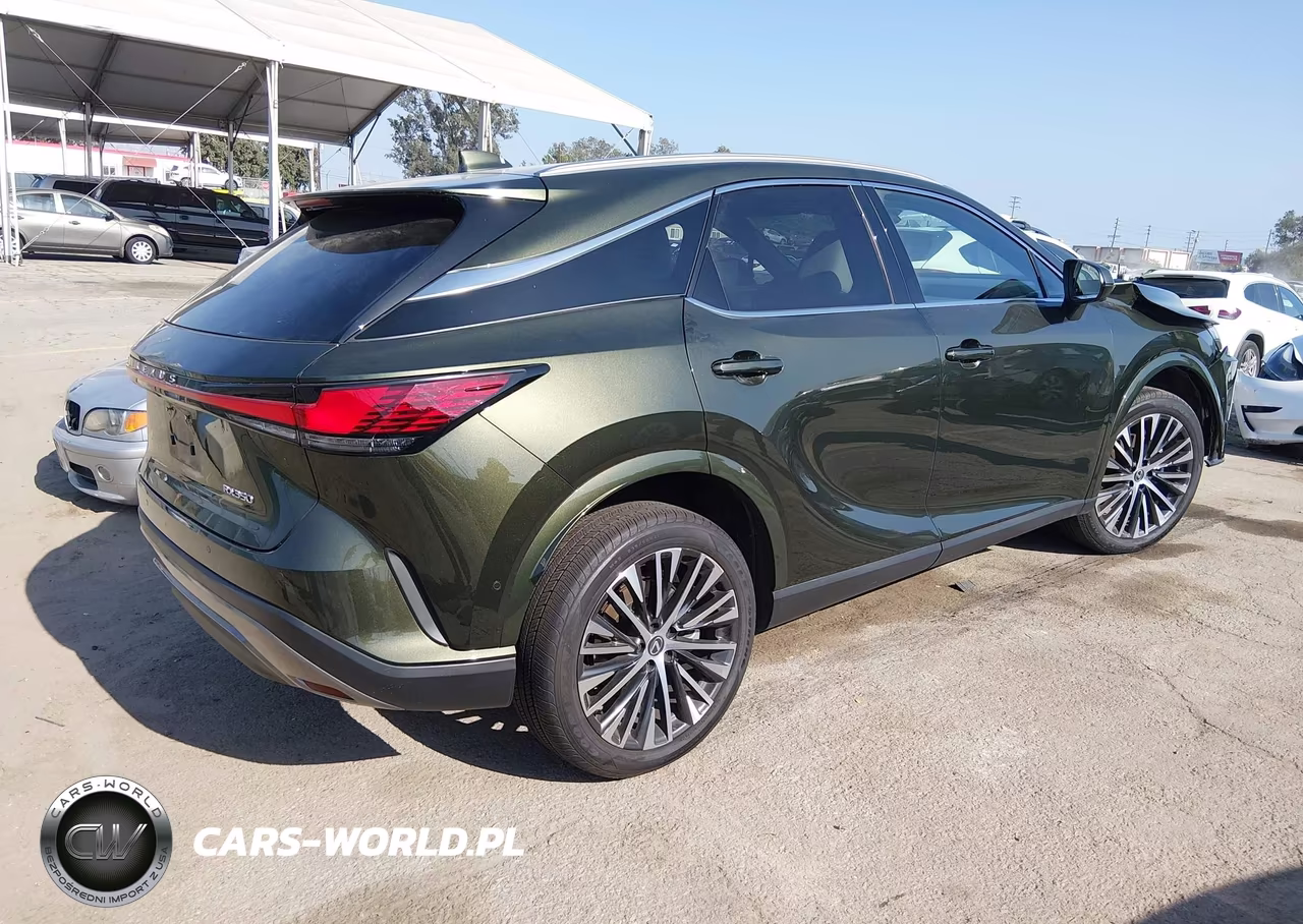 2025 Lexus Rx 350 Premium Plus VIN:2T2BAMBA1SC057184 - 4