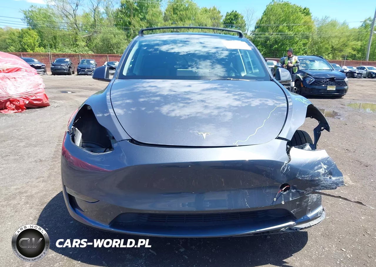 2023 Tesla Model Y Awd-Long Range Dual Motor All-Wheel Drive VIN:7SAYGAEEXPF967271 - 12