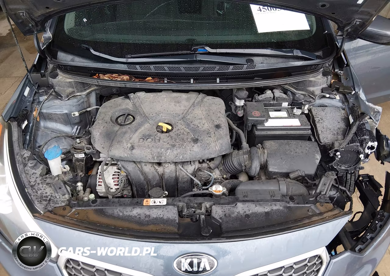 2016 Kia Forte Lx VIN:KNAFK4A61G5495253 - 10