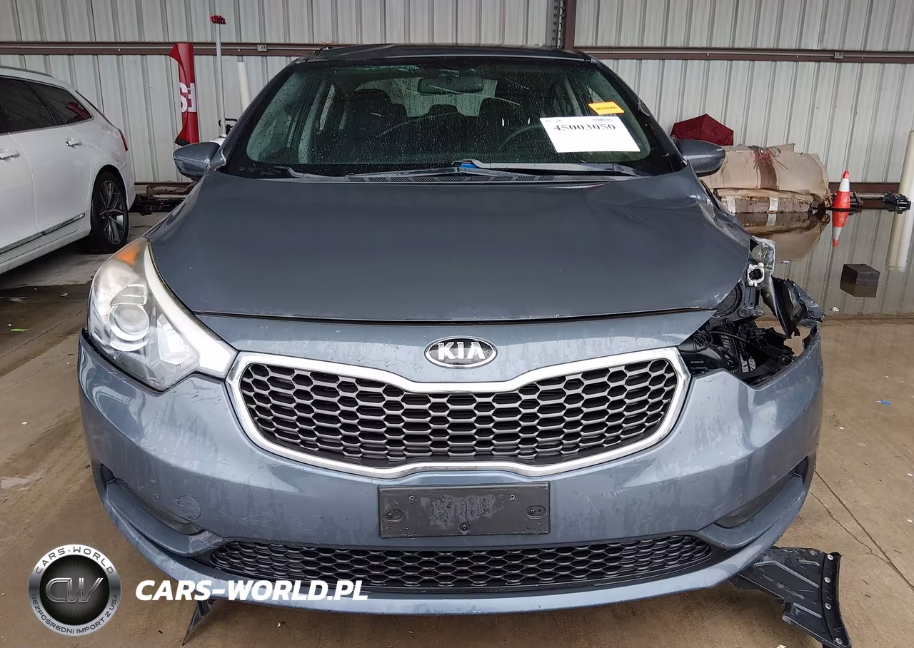 2016 Kia Forte Lx VIN:KNAFK4A61G5495253 - 12