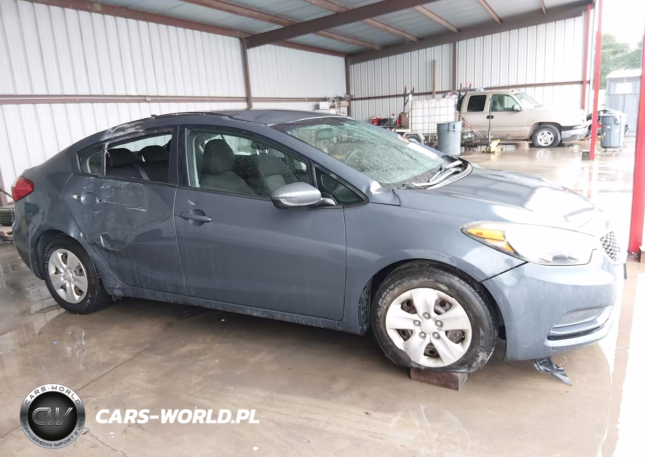 2016 Kia Forte Lx VIN:KNAFK4A61G5495253 - 13
