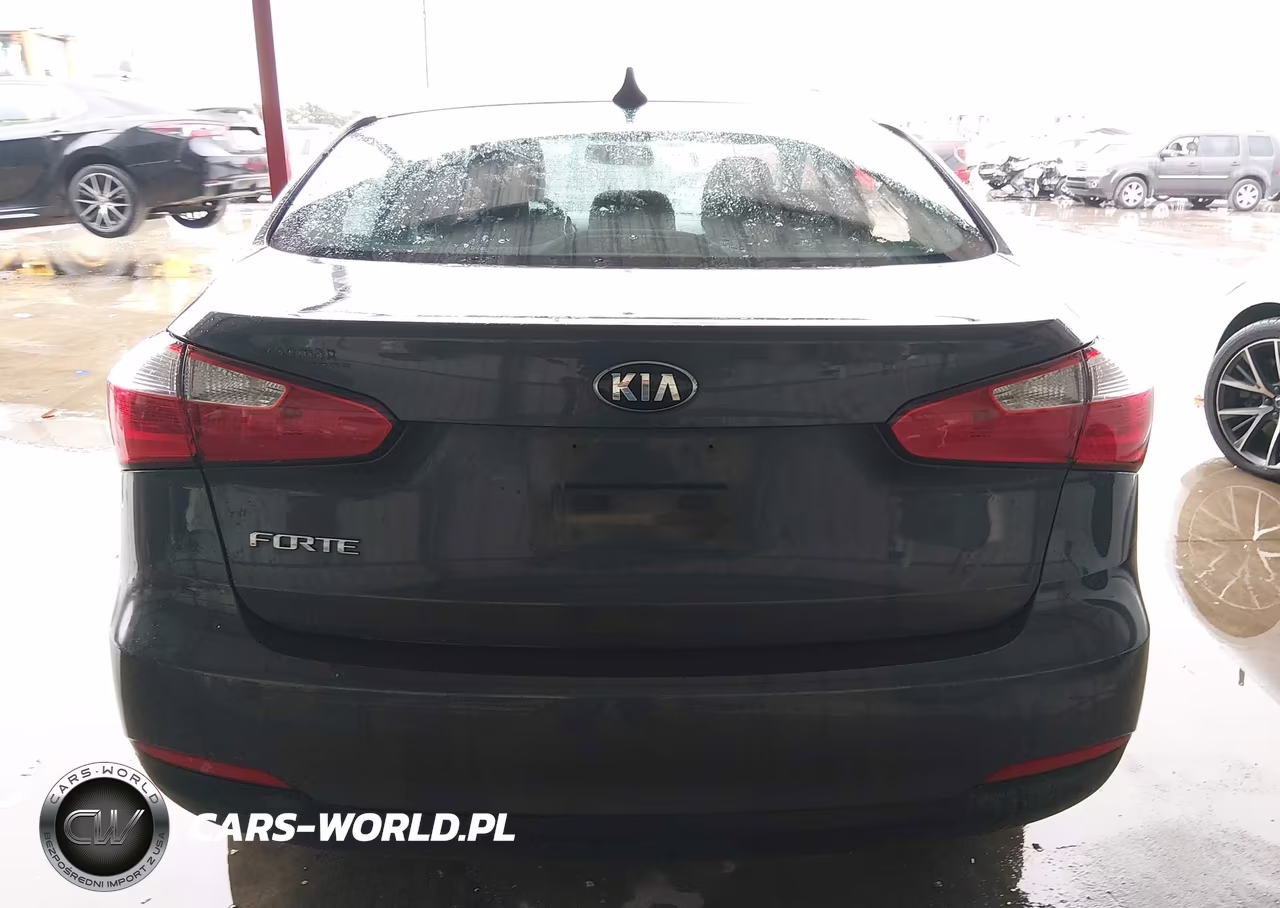 2016 Kia Forte Lx VIN:KNAFK4A61G5495253 - 16