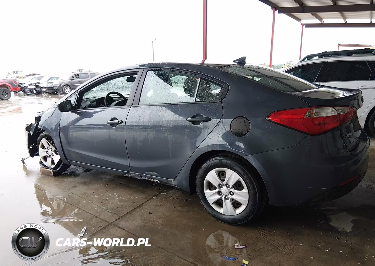 2016 Kia Forte Lx VIN:KNAFK4A61G5495253 - 17