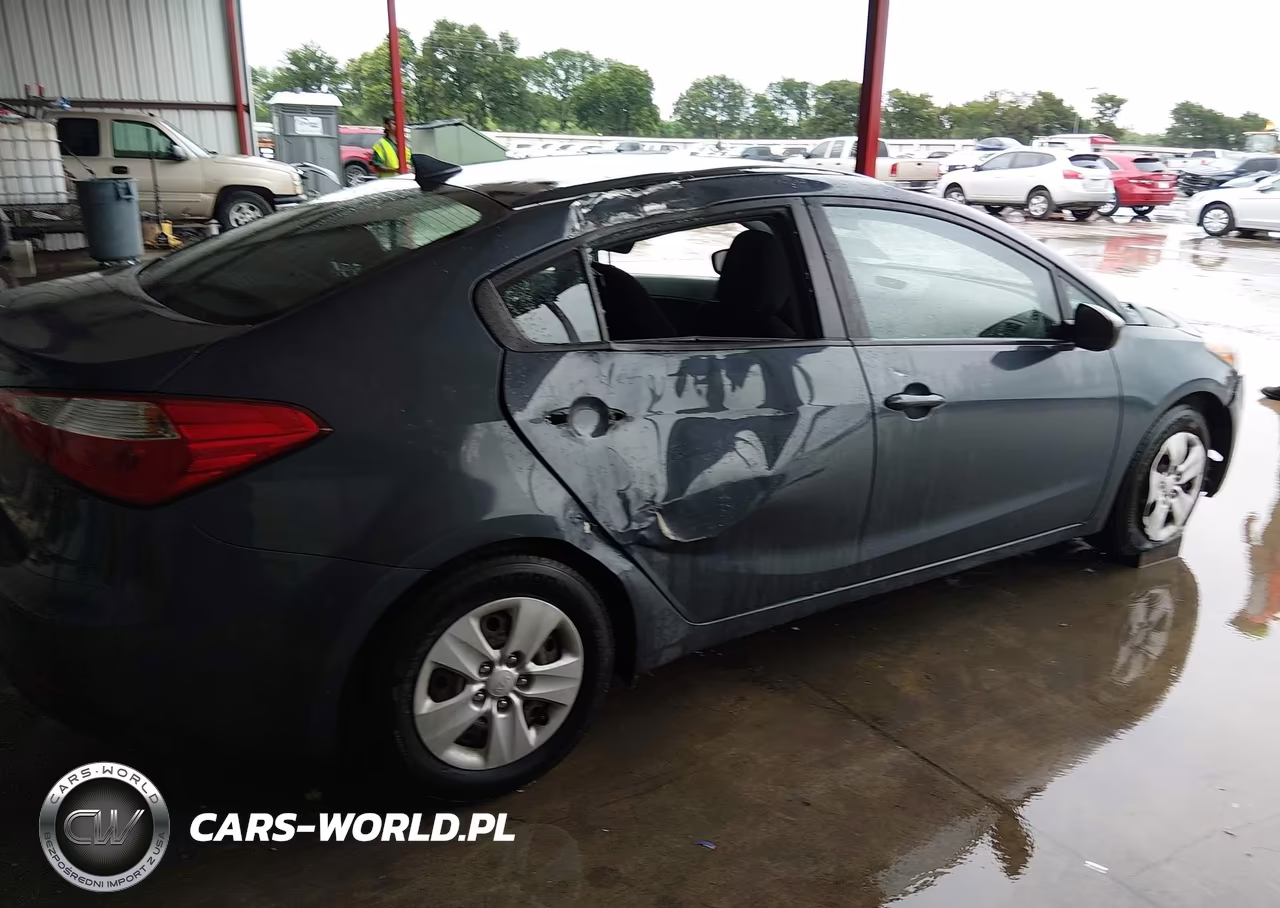 2016 Kia Forte Lx VIN:KNAFK4A61G5495253 - 18