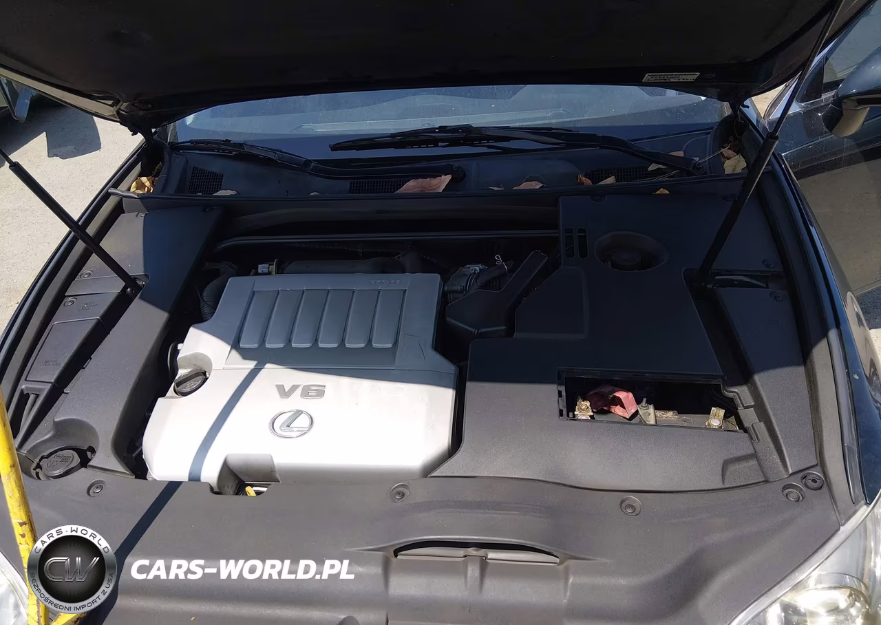 2009 Lexus Es 350 VIN:JTHBJ46G792290366 - 10