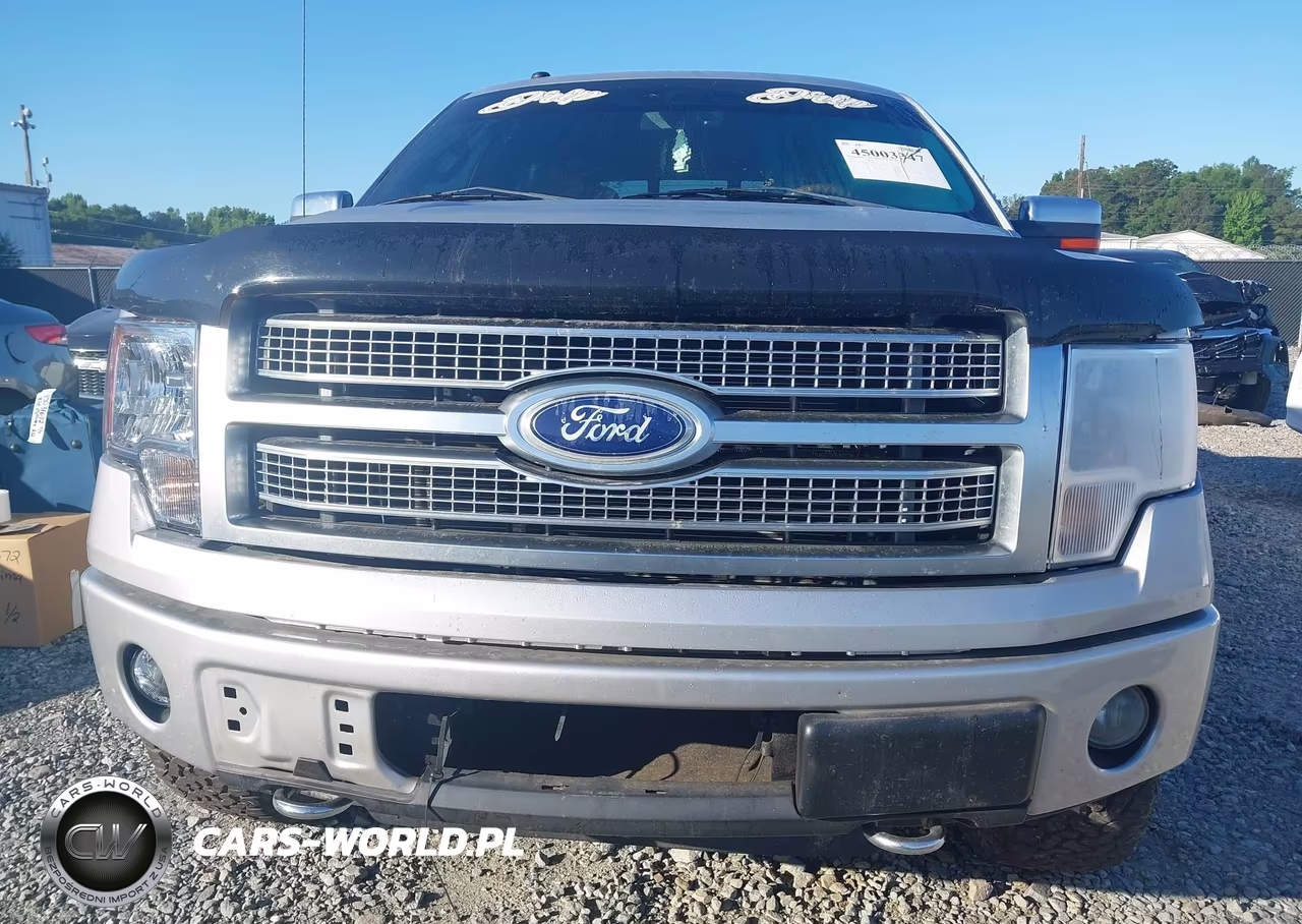2010 Ford F-150 Fx4-Harley-Davidson-King Ranch-Lariat-Platinum-Xl-Xlt VIN:1FTFW1EV9AFC00392 - 13