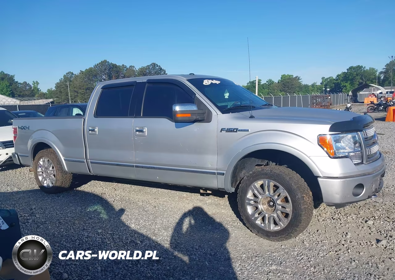 2010 Ford F-150 Fx4-Harley-Davidson-King Ranch-Lariat-Platinum-Xl-Xlt VIN:1FTFW1EV9AFC00392 - 14