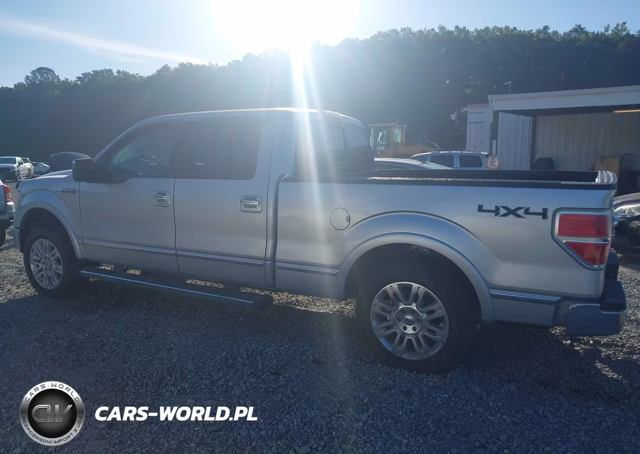2010 Ford F-150 Fx4-Harley-Davidson-King Ranch-Lariat-Platinum-Xl-Xlt VIN:1FTFW1EV9AFC00392 - 15
