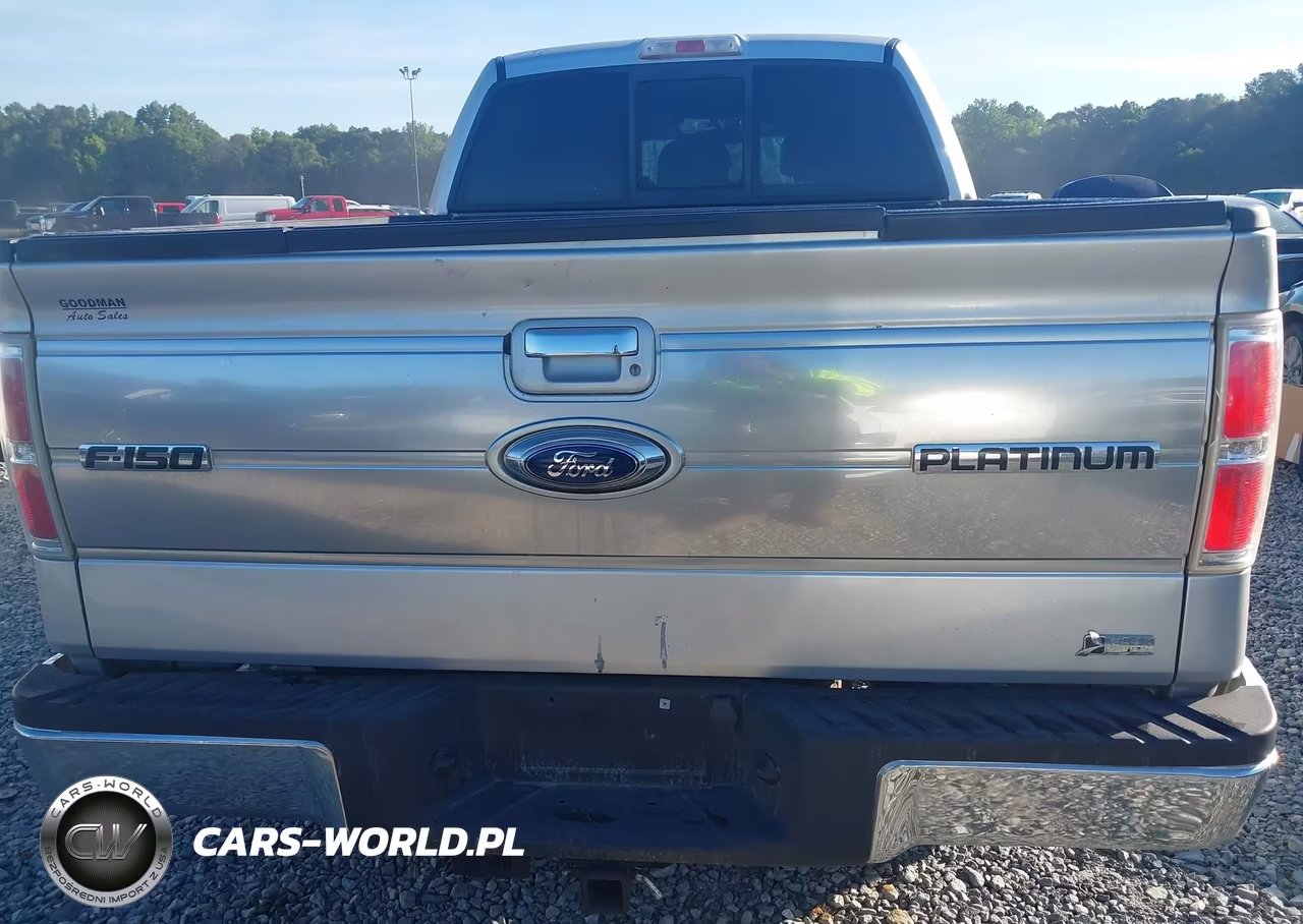 2010 Ford F-150 Fx4-Harley-Davidson-King Ranch-Lariat-Platinum-Xl-Xlt VIN:1FTFW1EV9AFC00392 - 17