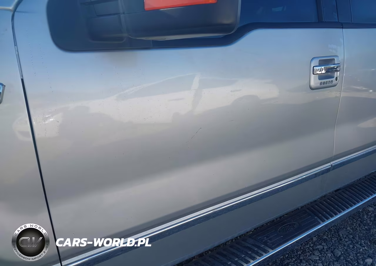 2010 Ford F-150 Fx4-Harley-Davidson-King Ranch-Lariat-Platinum-Xl-Xlt VIN:1FTFW1EV9AFC00392 - 18
