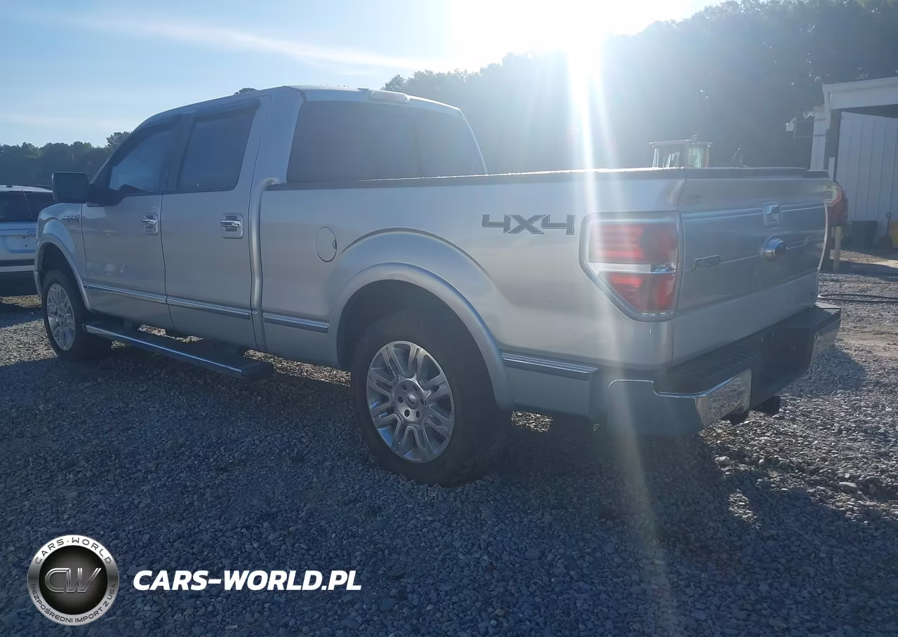 2010 Ford F-150 Fx4-Harley-Davidson-King Ranch-Lariat-Platinum-Xl-Xlt VIN:1FTFW1EV9AFC00392 - 3