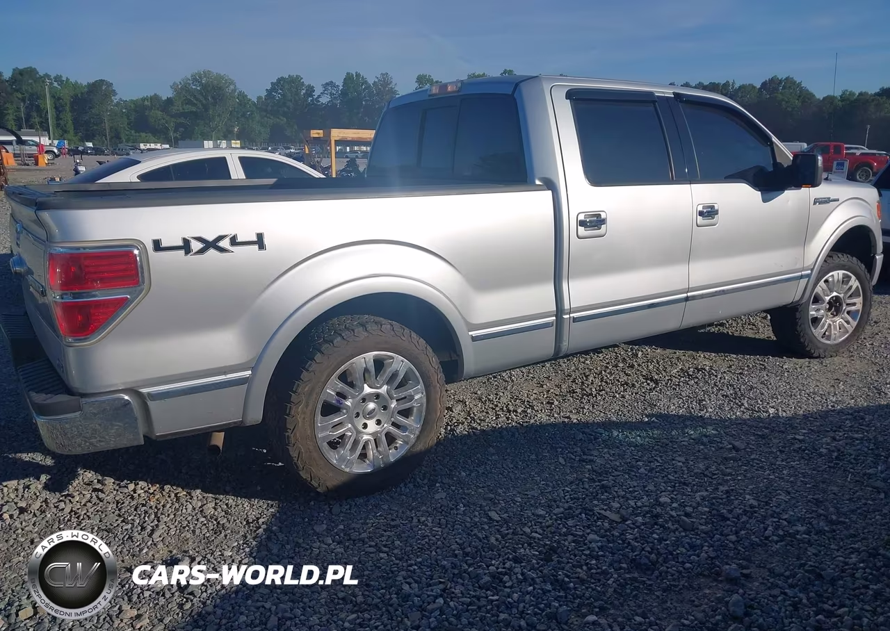 2010 Ford F-150 Fx4-Harley-Davidson-King Ranch-Lariat-Platinum-Xl-Xlt VIN:1FTFW1EV9AFC00392 - 4