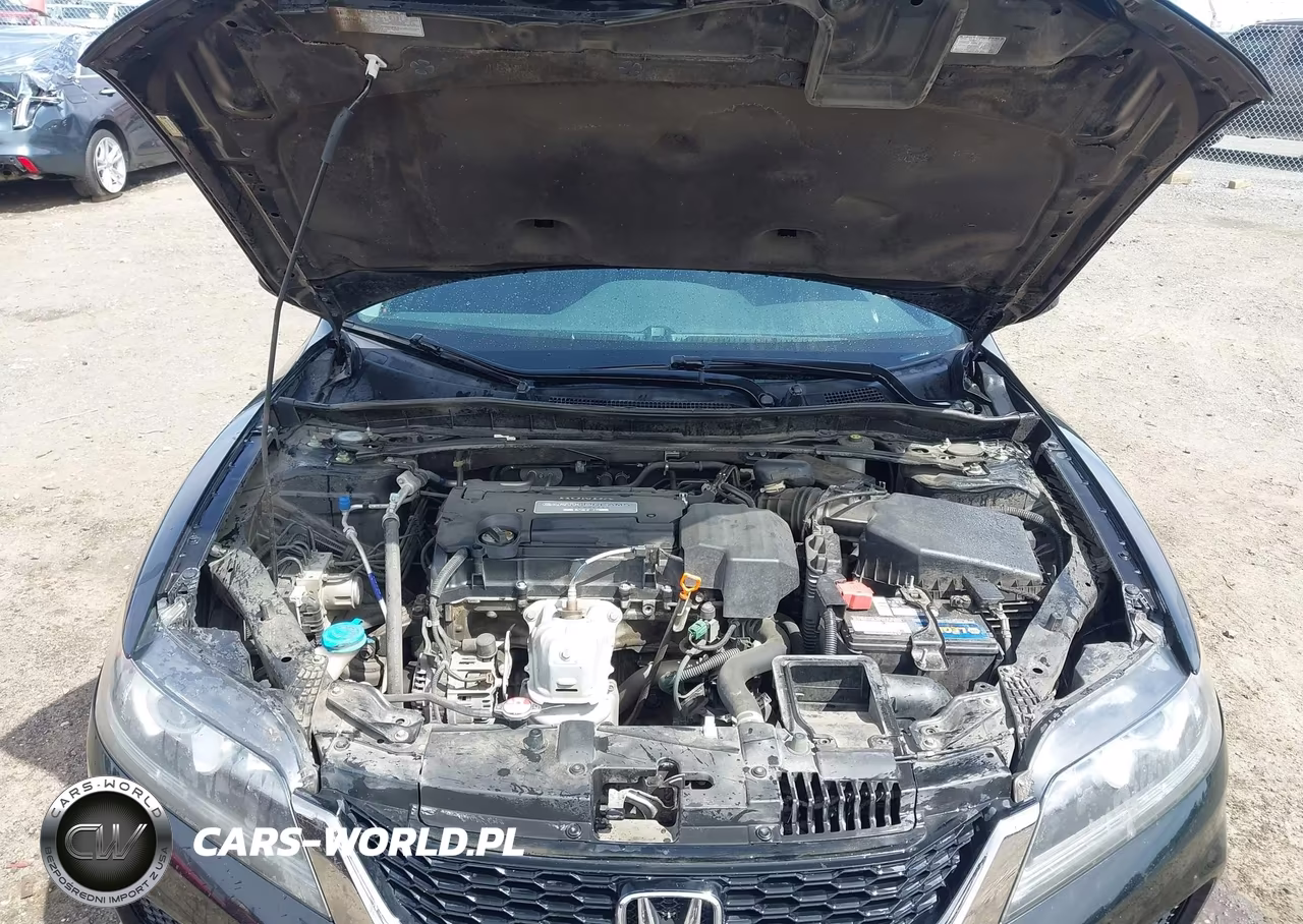 2013 Honda Accord Lx-S VIN:1HGCT1B38DA011377 - 10