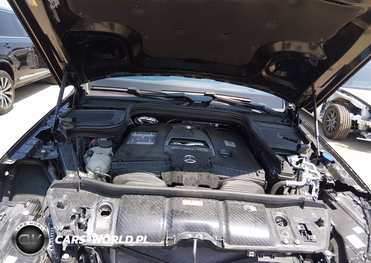 2025 Mercedes-Benz Amg Gls 63 4Matic+ VIN:4JGFF8KE0SB396000 - 10