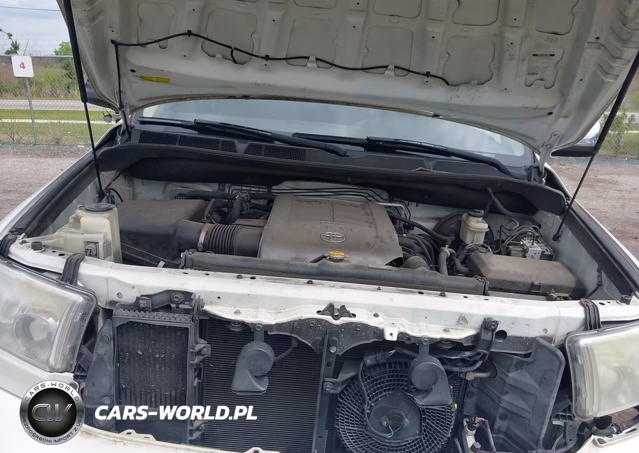 2010 Toyota Sequoia Platinum 5.7L V8 VIN:5TDDW5G18AS029403 - 10