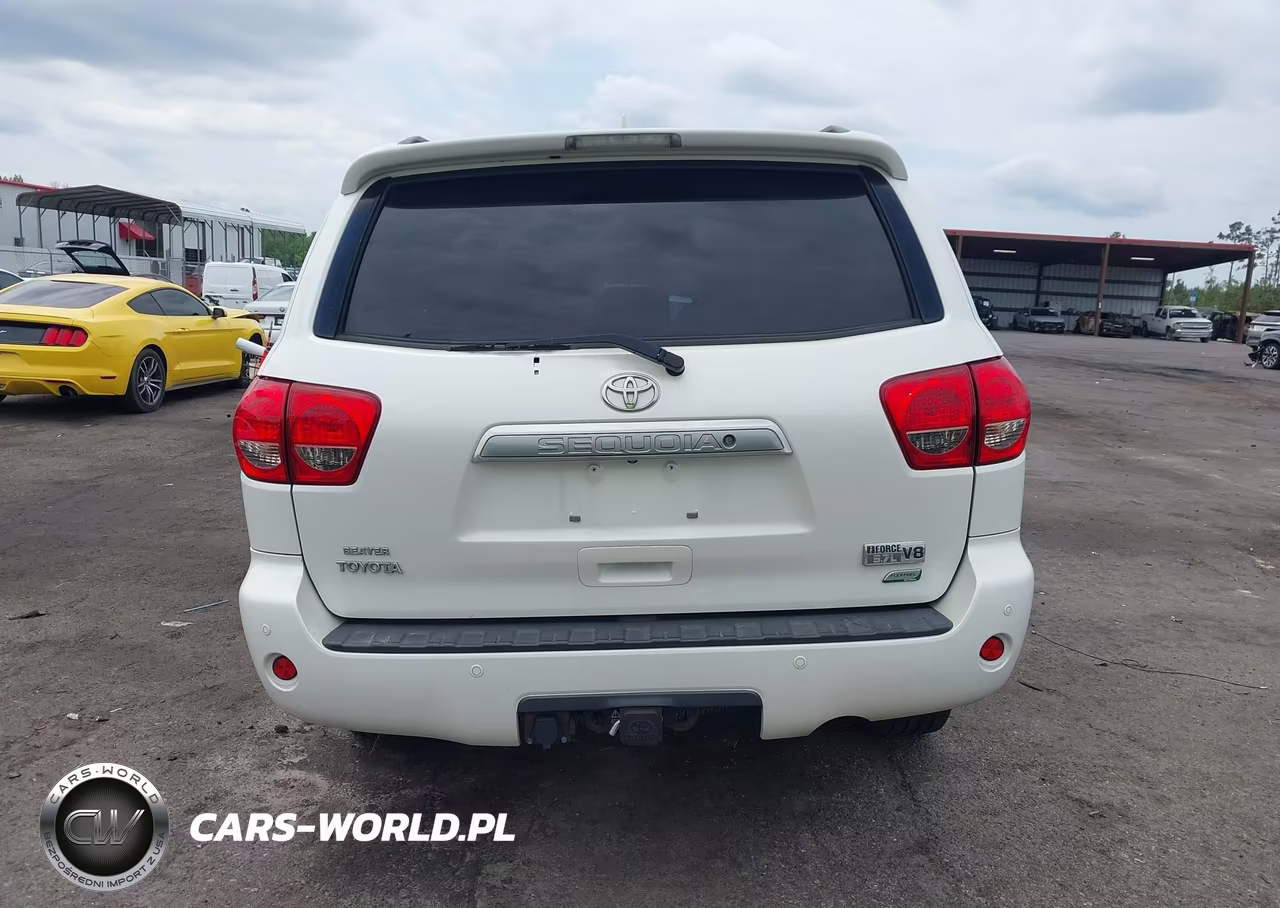 2010 Toyota Sequoia Platinum 5.7L V8 VIN:5TDDW5G18AS029403 - 16