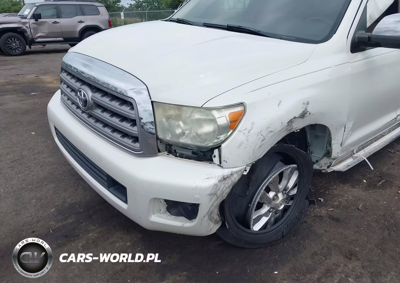 2010 Toyota Sequoia Platinum 5.7L V8 VIN:5TDDW5G18AS029403 - 6