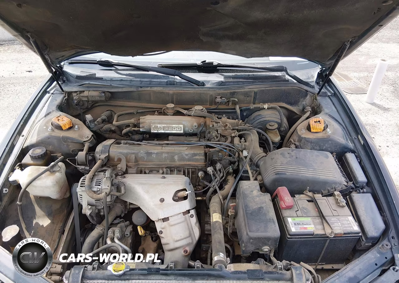 1995 Toyota Camry Le VIN:4T1SK12E6SU886687 - 10