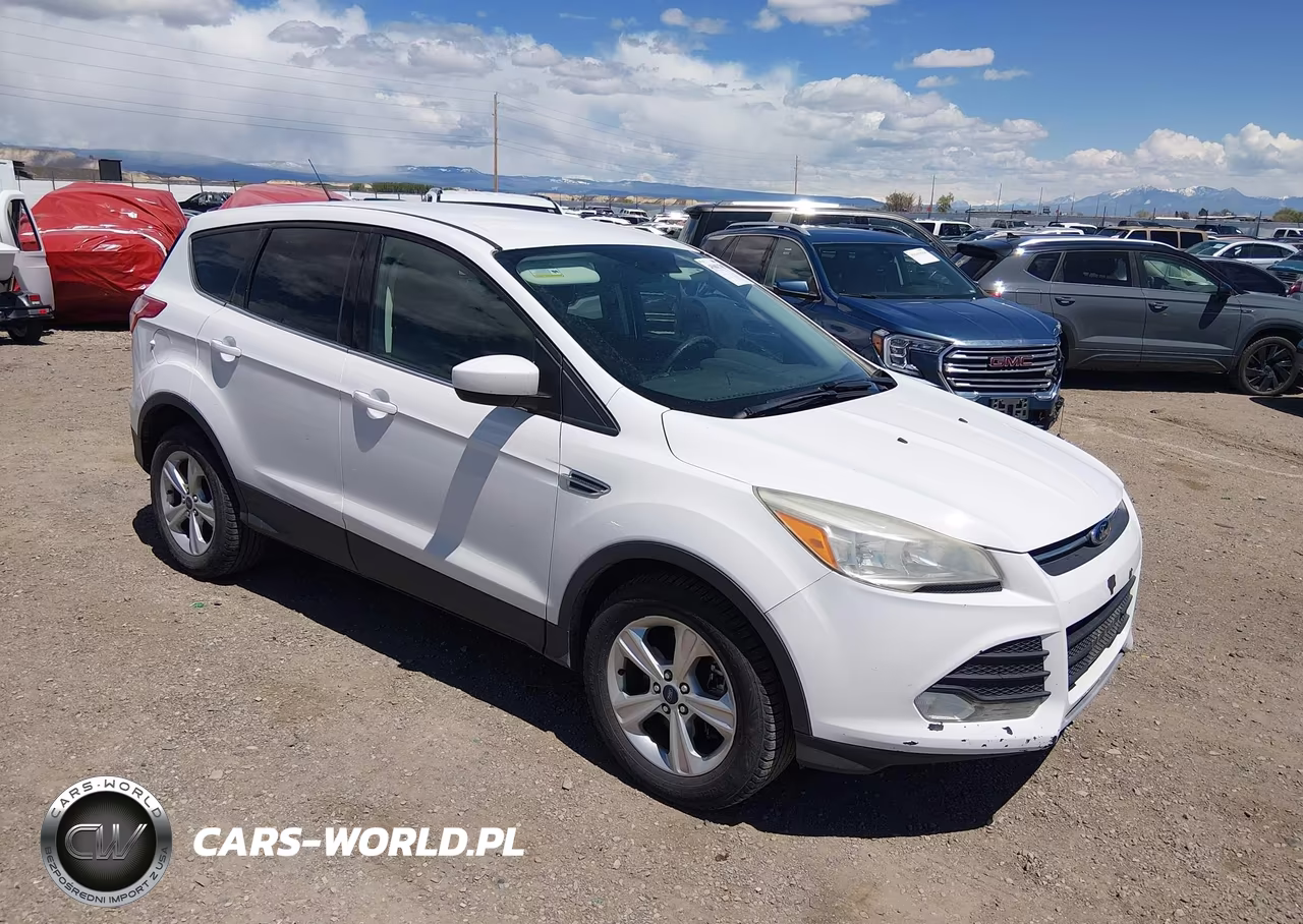 2014 Ford Escape Se